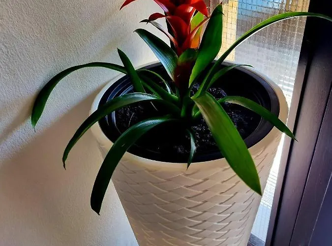 Andrijana 公寓 扎达尔