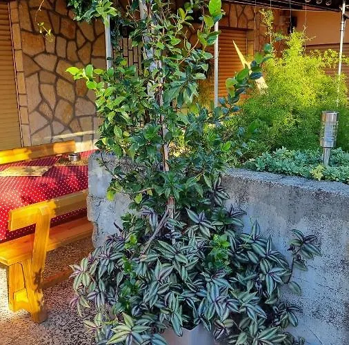 Andrijana Apartamento *